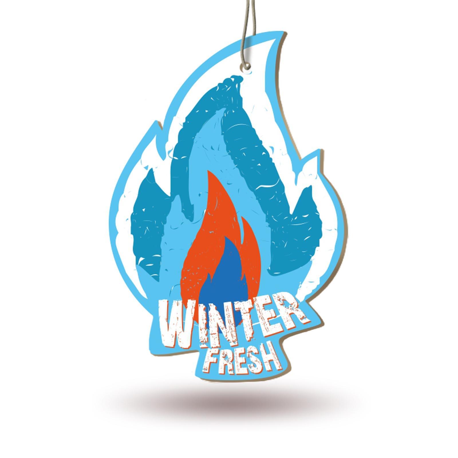 Ароматизатор подвесной (Winter freshness/Свежесть зимы) "AVS" Fire Fresh (AFP-008 картонный)